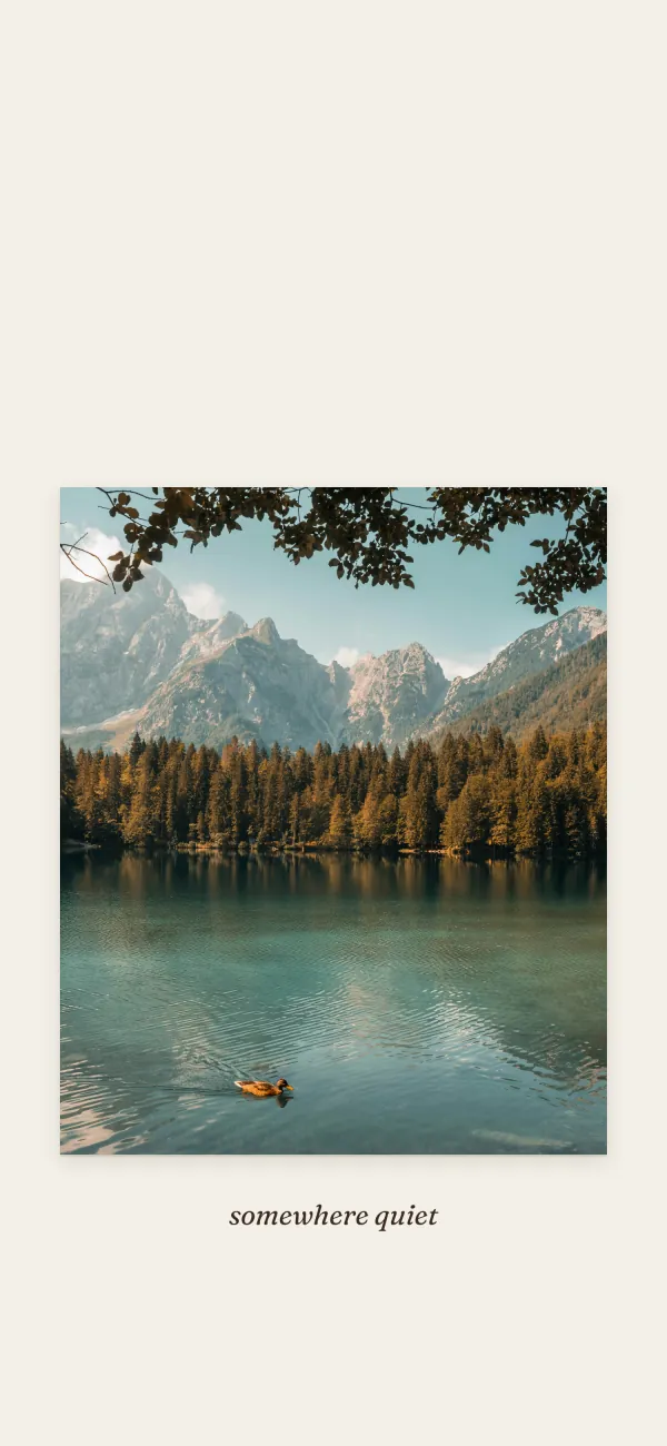 The One photo template, shown with sample photos: a single photo with a line beneath.